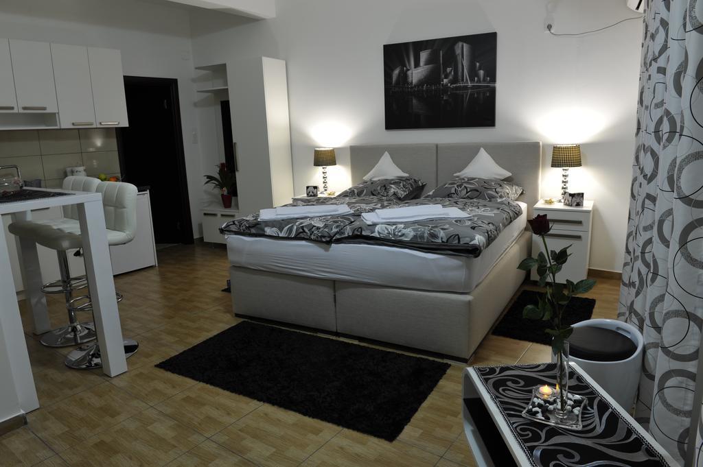 Apartment Jovana Niksic Room photo
